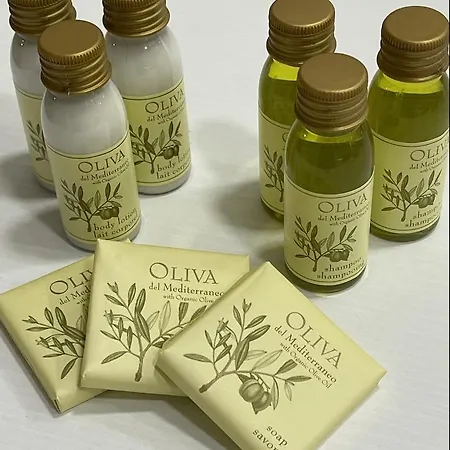 Luxury House Samy Daire *